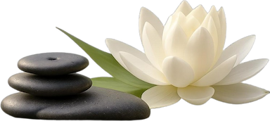 Lotus çiçeği